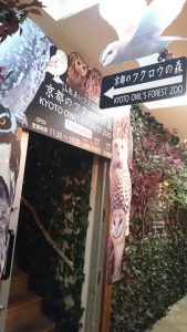フクロウの森