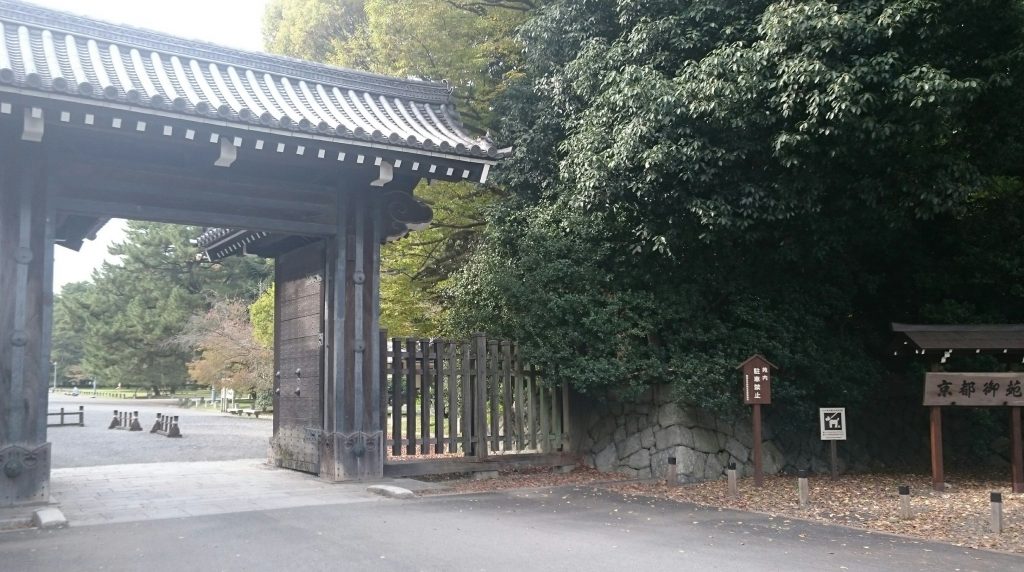 まつぼっくり 御所