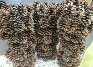 クリスマスリース 準備中
