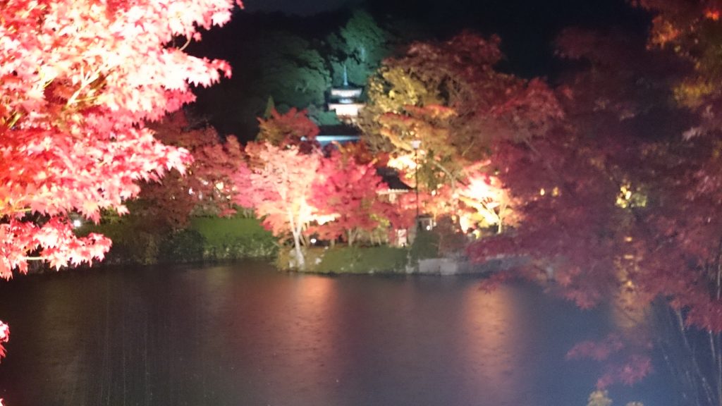 永観堂 紅葉