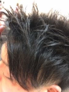 いつもの ベリーショート