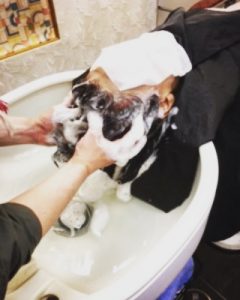 オーガニックヘッドスパ 施術中