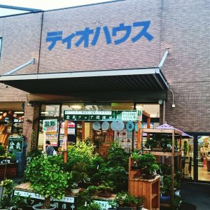 ディオハウス