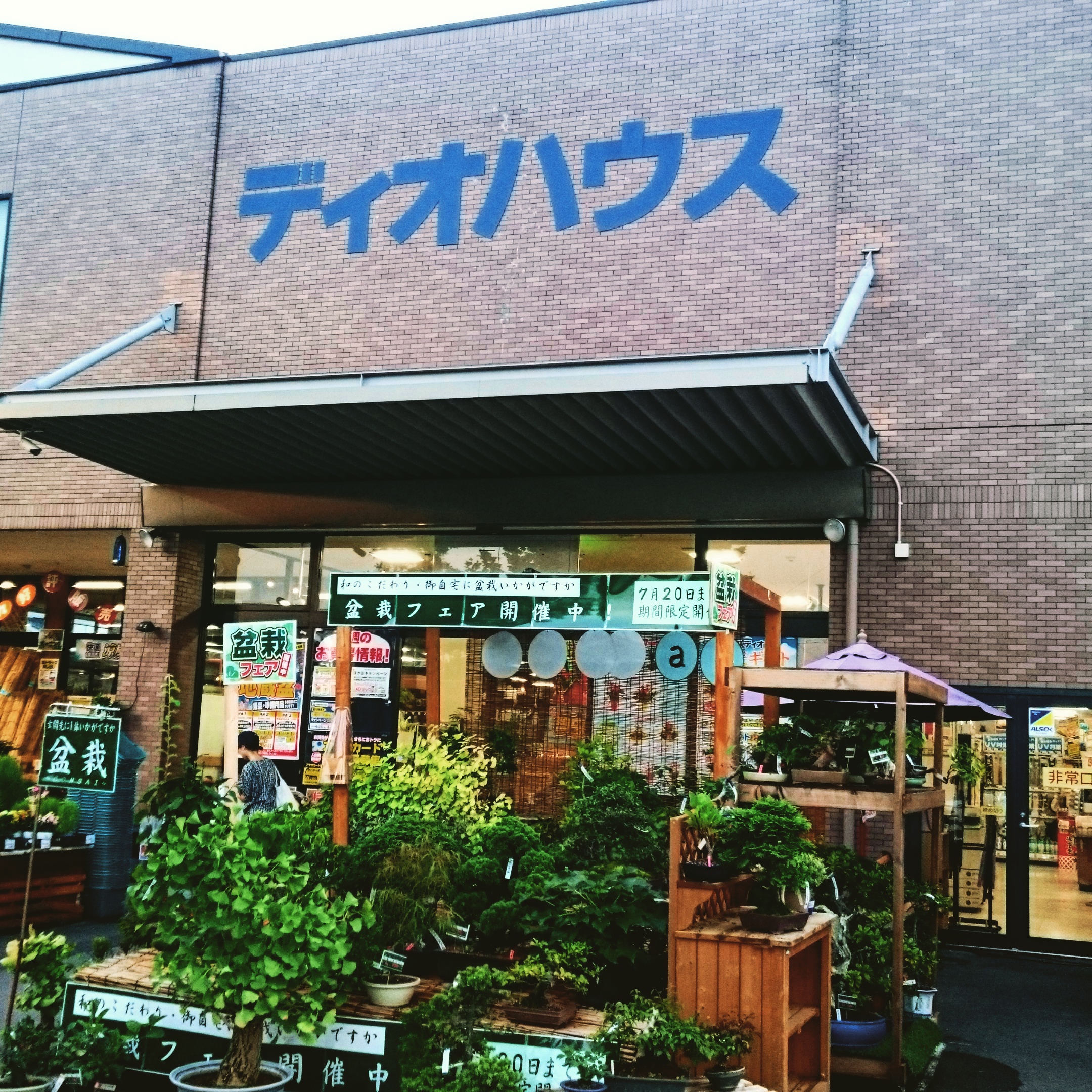 ディオハウス