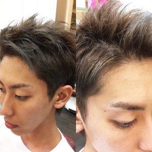 Wカラー アディクシー シルバー
