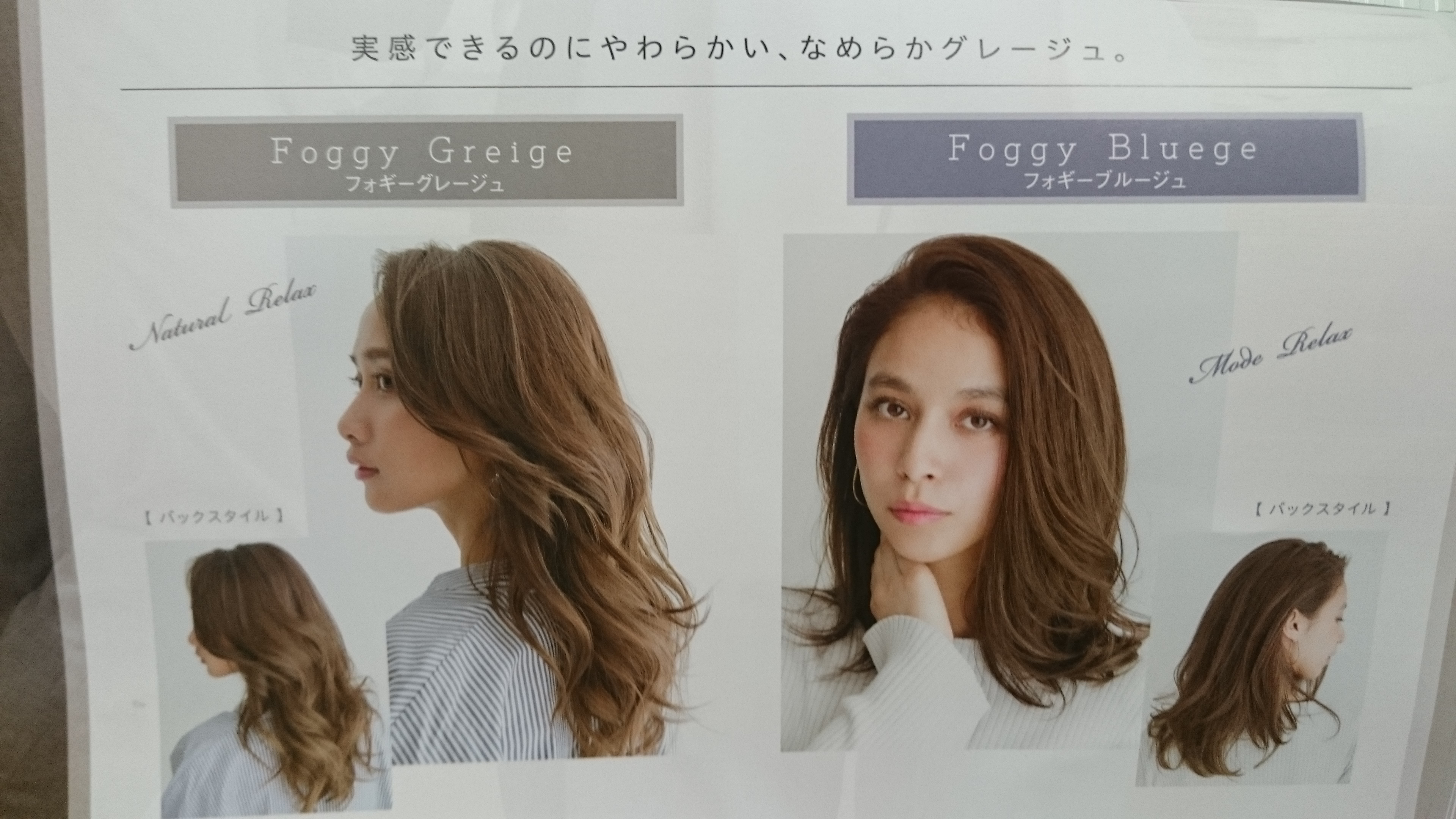 フォギーライン トレンド
