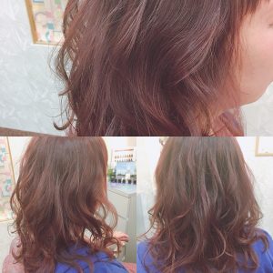 チェリー モーヴ