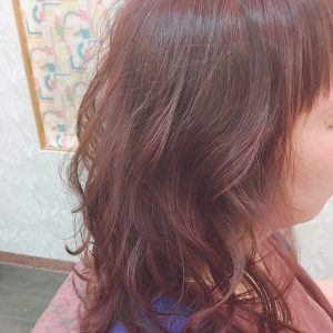 チェリモ リプトンン