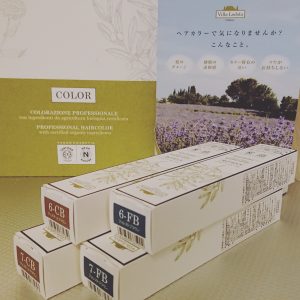 フォレスト チェスナット
