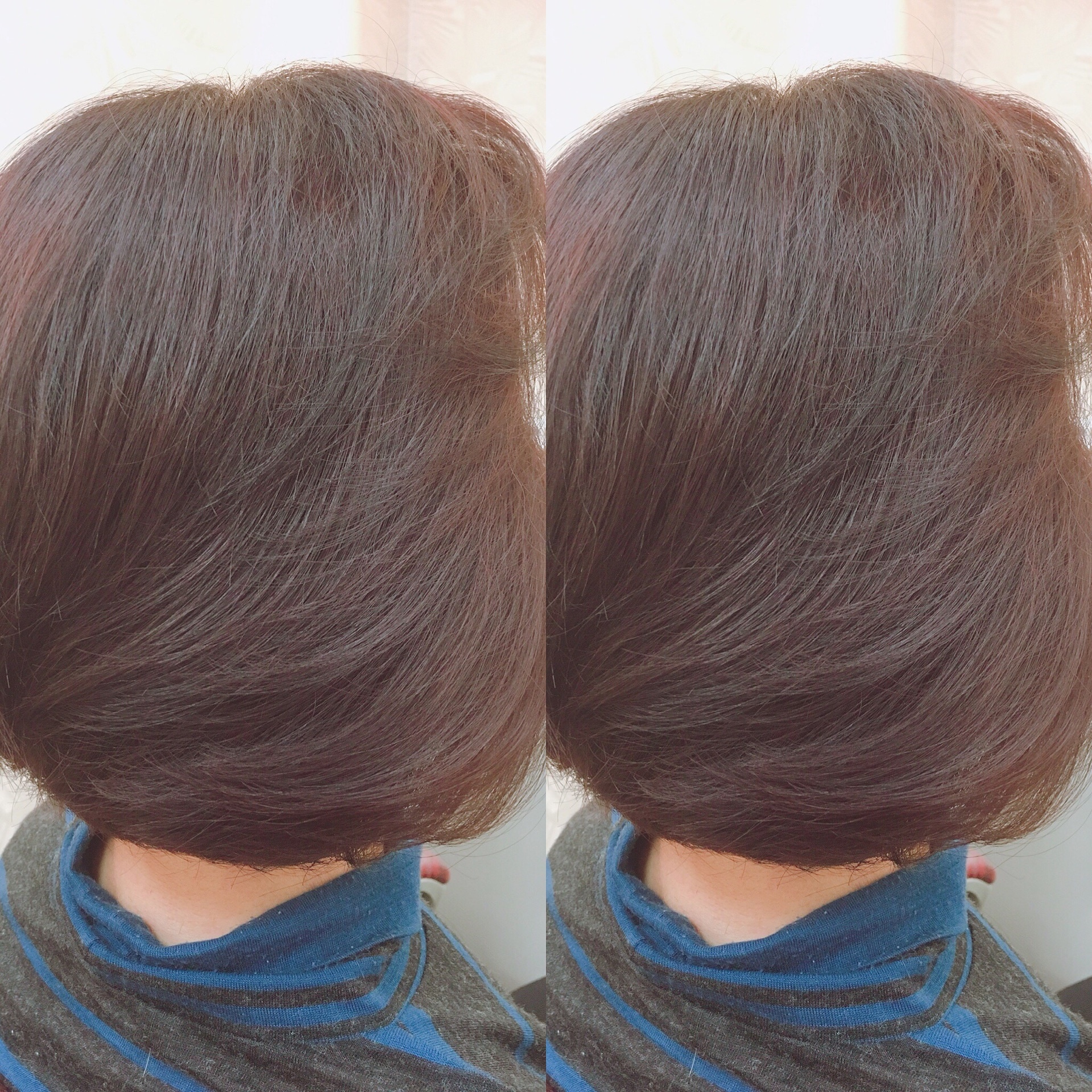 ボブ 2枚