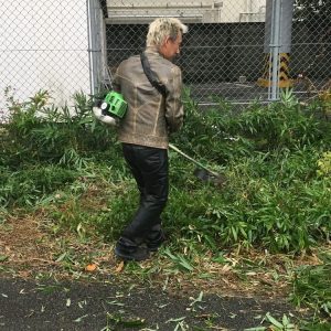 草刈 掃除