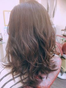 レディ ブラウン セミ