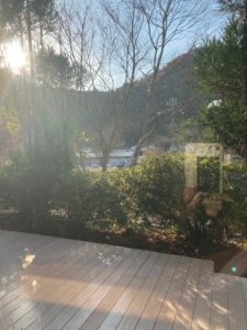 ウッディ京北 写真