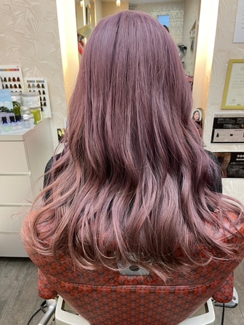 黒髪卒業式 グロービオラ